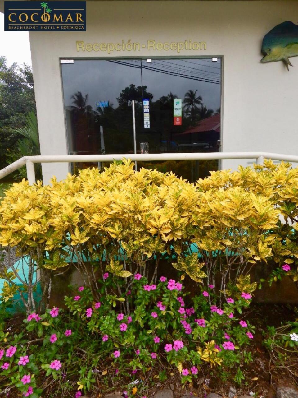 Cocomar Beachfront Hotel Parrita Extérieur photo