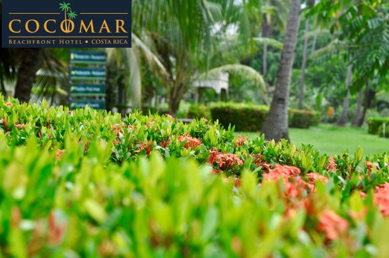 Cocomar Beachfront Hotel Parrita Extérieur photo